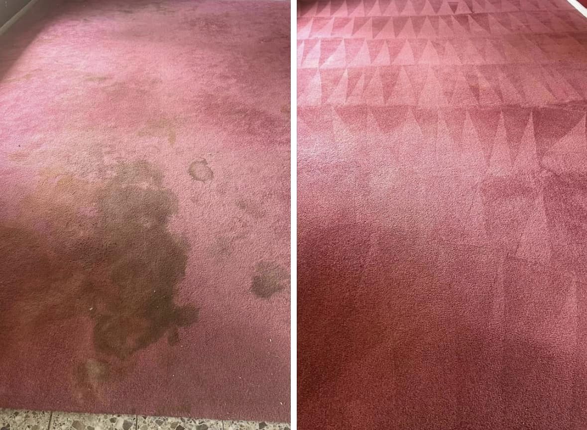 My Carpet Heroes Carpet Cleaning in Cincinnati Free Quote